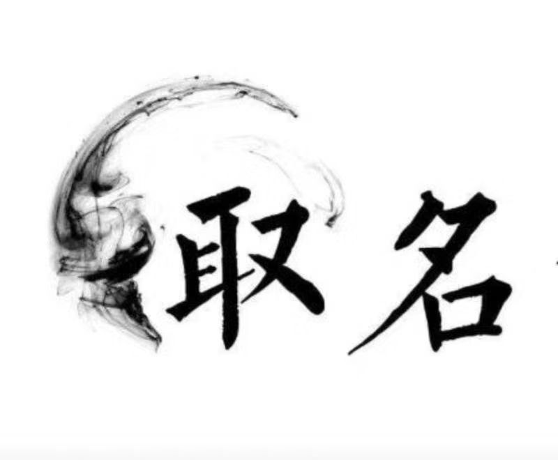  汉台宝宝取名 大师一对一人工起名